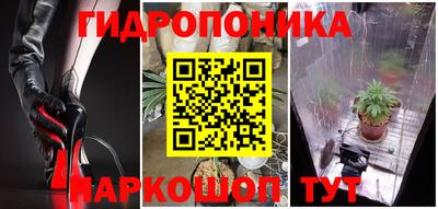 стаф Свободный