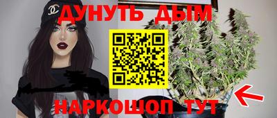 прущие крисы Северобайкальск